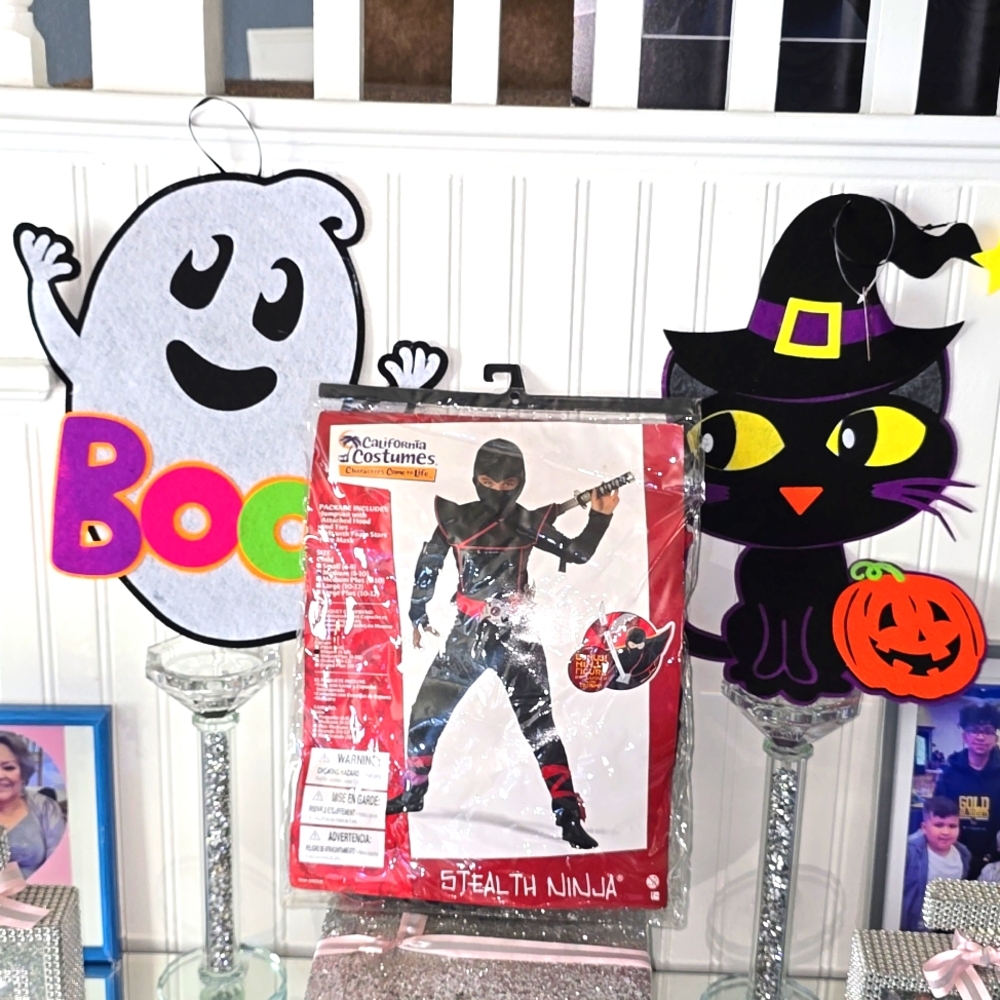Halloween costume stealth ninja